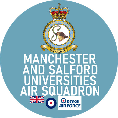 Raf pin badge choose - raf,